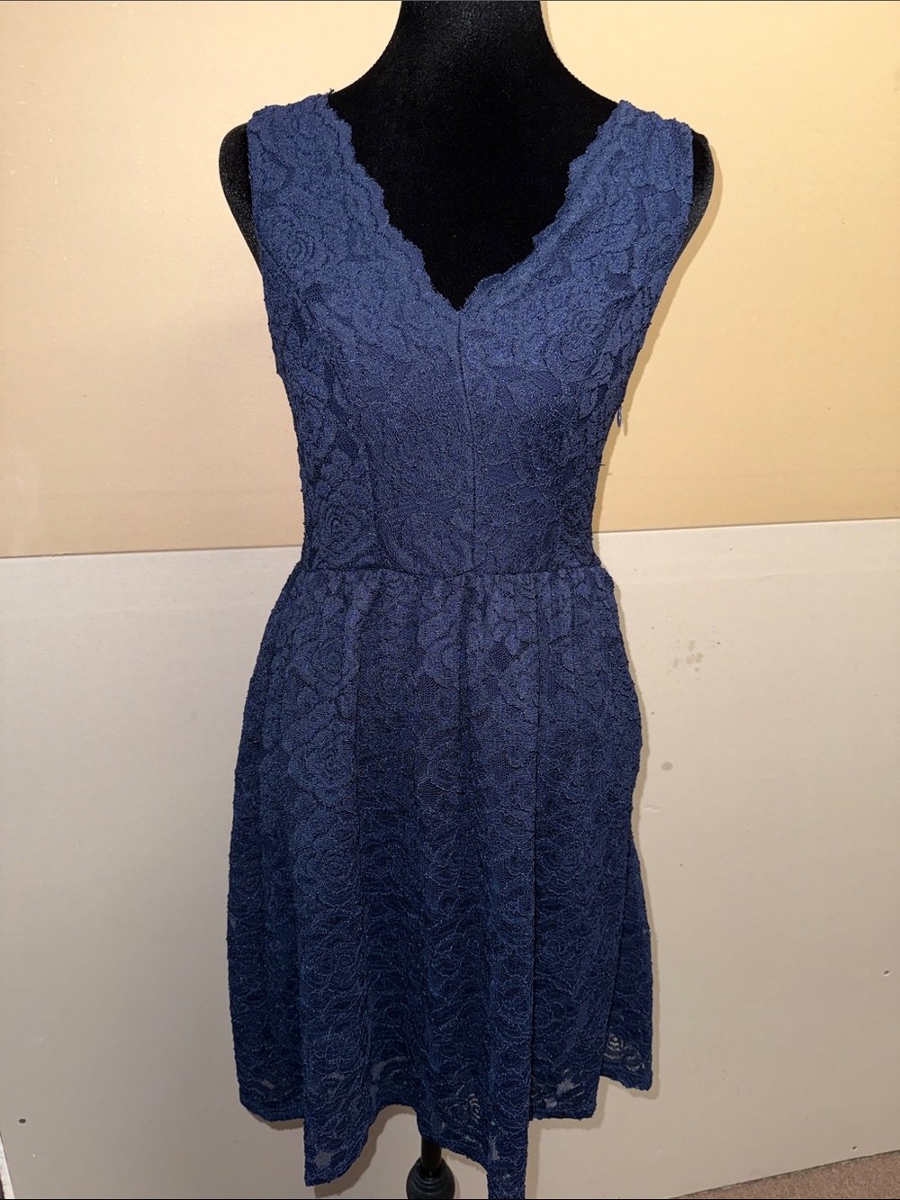 Fervour Women's Navy Lace V-Neck Dress